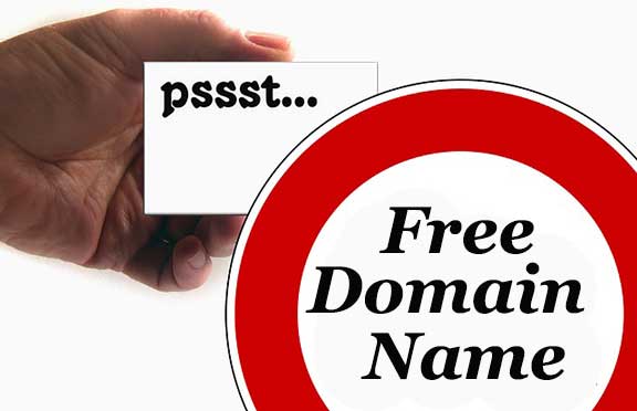 Totally Free Domain Name Registration only