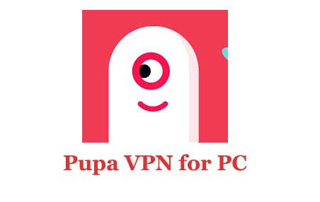 Pupa VPN for PC