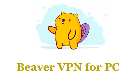Beaver VPN for PC