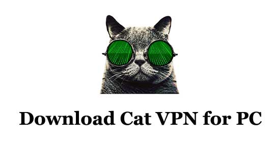 Download Cat VPN for PC