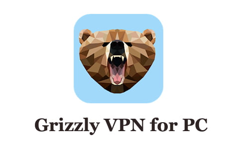 Download Grizzly VPN for PC