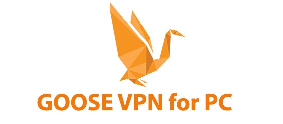 GOOSE VPN for PC