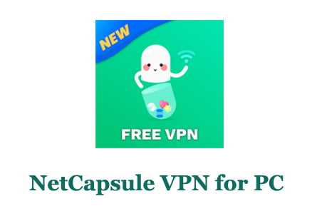 NetCapsule VPN for PC