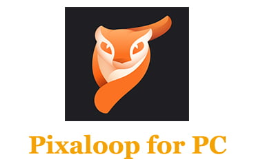 Pixaloop for PC