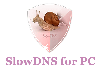 SlowDNS VPN for PC