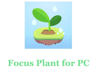 Focus Plant for PC