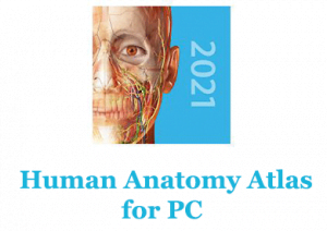 human anatomy atlas for pc