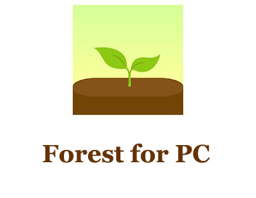 Forest for PC