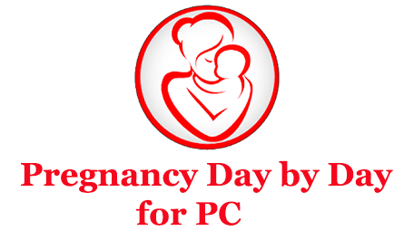 Pregnancy Day by Day for PC