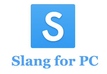 Slang for PC