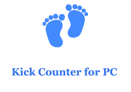 Kick Counter for PC