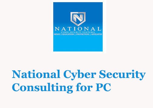 National Cyber Security Consulting for PC