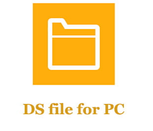 DS file for PC