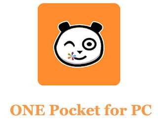 ONE Pocket for PC
