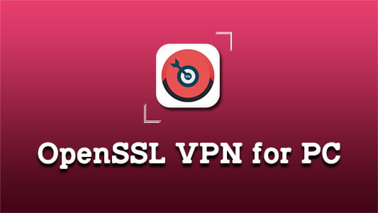 OpenSSL VPN for PC
