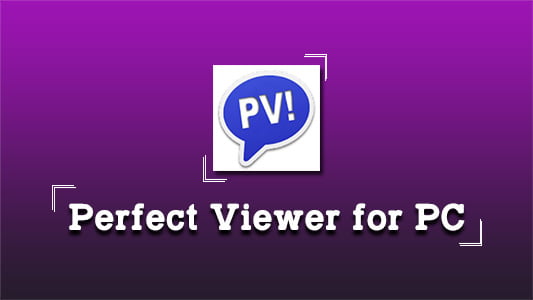 Perfect Viewer for PC