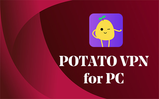 Potato VPN for PC Windows